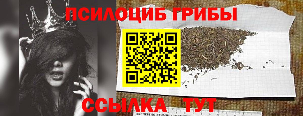 Псилоцибиновые грибы прущие грибы  Вход с VPN  Батайск 